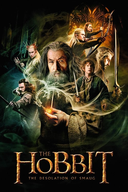 The Hobbit 3: The Desolation of Smaug 1